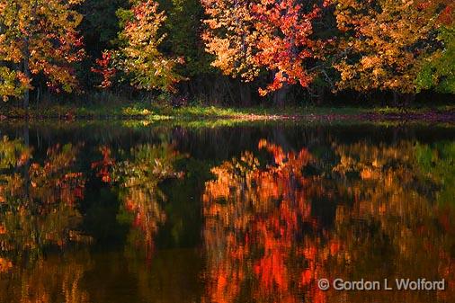 Autumn Trees Reflection_08729.jpg - Canadian Mississippi River photographed near Carleton Place, Ontario, Canada.